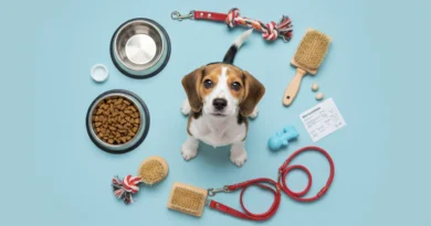 Kit essencial primeiros cuidados com filhote de cachorro - manual definitivo